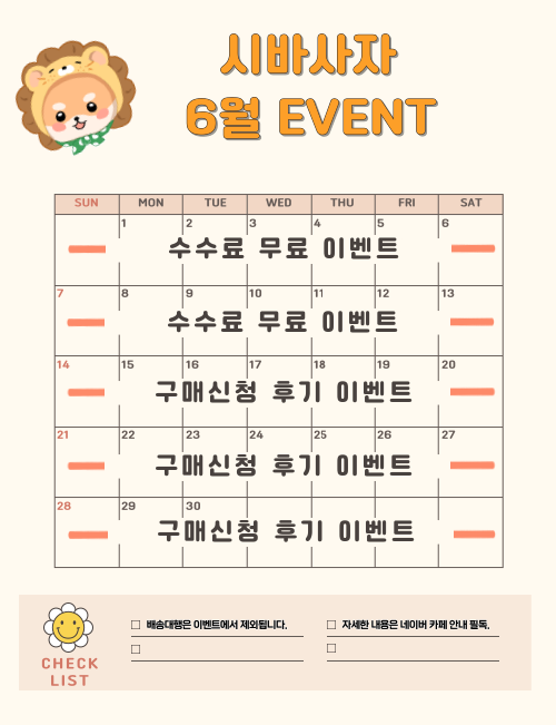 팝업