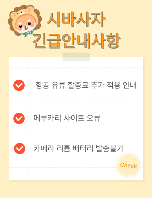 팝업